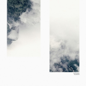 精品久久久久久蜜臂a∨
